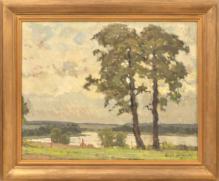 Paysage avec arbres 