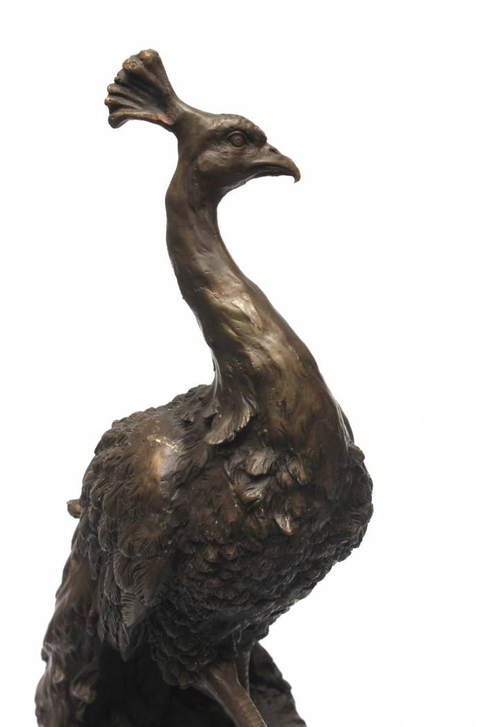 Bronze peacock on a granite base